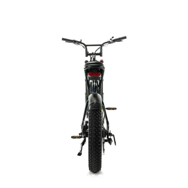 ENGWE M20 - Fatbike - Zwart